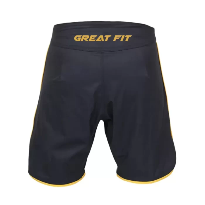 Jiu Jiitsu Shorts - Image 2