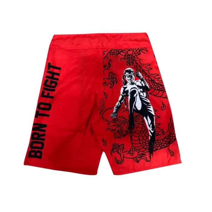 MMA Shorts - Image 2