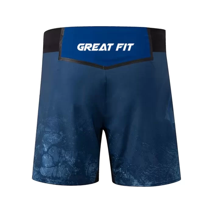 UFC Shorts - Image 2